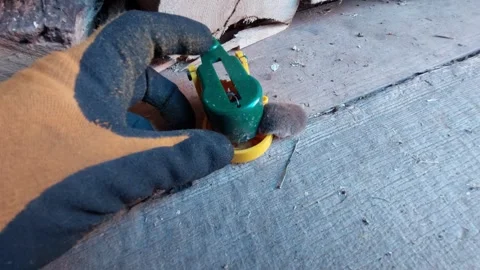 Reusable plastic mouse trap being triggered with a fake mouse Stock Footage 334568355