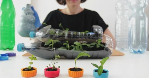 Reuse plastic bottle to seeding plant. Recycling plastic concept. Stock Footage 129723071