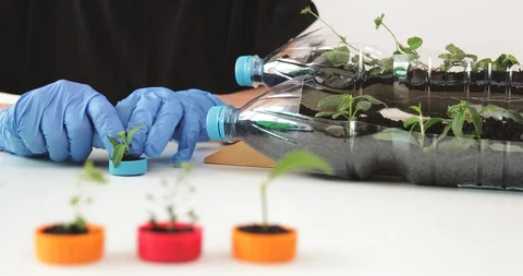 Reuse plastic bottle to seeding plant. Recycling plastic concept. Stock Footage 129735085
