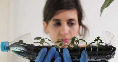 Reuse plastic bottle to seeding plant. Recycling plastic concept. Stock Footage 129737917