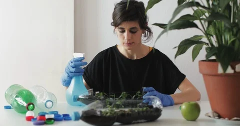 Reuse plastic bottle to seeding plant. Recycling plastic concept. Stock Footage 129741243