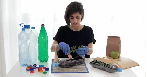 Reuse plastic bottle to seeding plant. Recycling plastic concept. Stock Footage 129785747