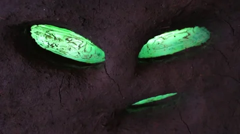 Reusing Bottles in Bio Construction Stock Footage 55080432