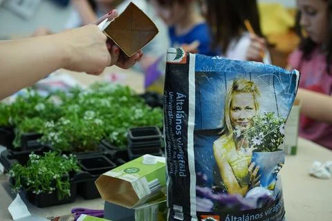Reusing rubbish to create flower pots Stock Photos