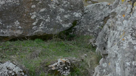 Reveal behind rocks Stock-Footage 37798923