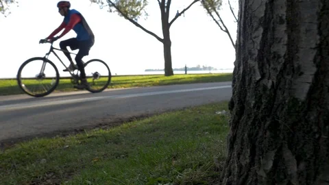 Reveal from behind tree to see Guy Passing by Riding a Bike Video stock 120804059
