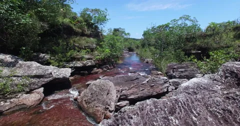 Reveal of Cano Cristales Vídeos de archivo 60706673