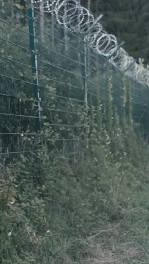 Reveal of endless security border barbed fence Stock Footage 324967895