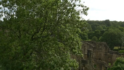 Reveal of Kirkstall Abbey Stock Footage 101547211
