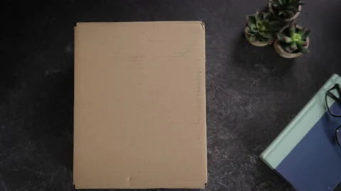 Reveal-in-out-package01 스톡 동영상 217514185