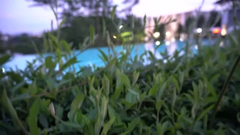 Reveal the pool up from the grass Stock Footage 220137493