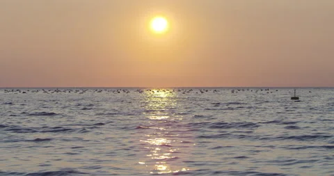 Reveal Slow Mo Of Man Paddle Boarding During Sunset Stock Footage 141743439