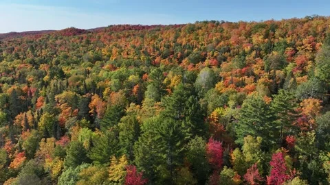 Reveal of Small Waterfall Below Vibrant Autumn Colors Aerial Stock Footage 315265481