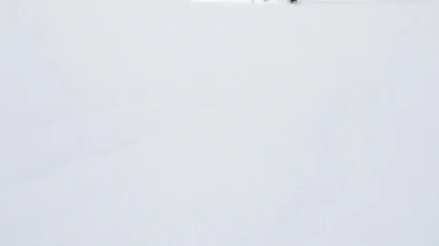 Reveal snow covered pine trees Video stock 73060040