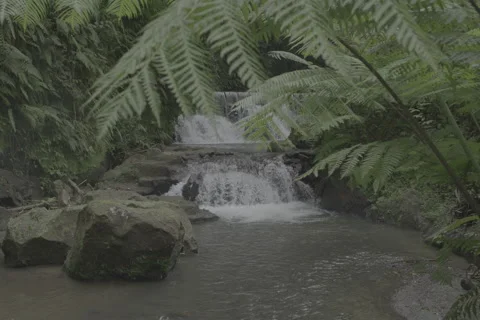 Reveal of Waterfall Stock-Footage 246410509