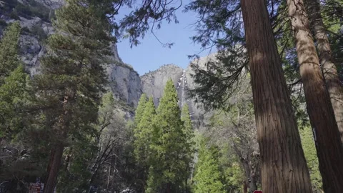 Reveal of Yosemite Falls Stock Footage 264128045