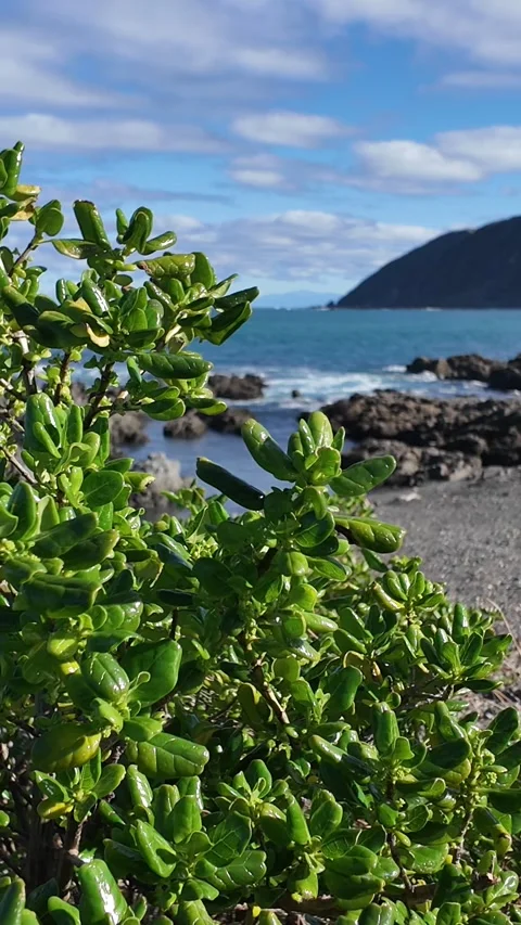 Revealing a beautiful view of the Ocean Stock Footage 281135923