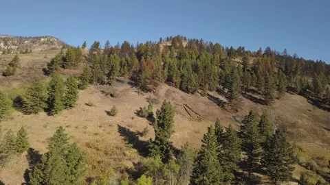 Revealing burned mountainside Stock Footage 166486401