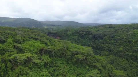 Revealing Chamarel Waterfall Video stock 147938026
