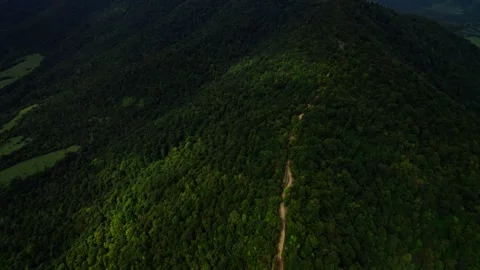 Revealing a forest in Georgia at a daytime. cloudy, drone shot Stock Footage 252736734
