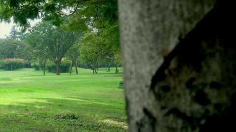 Revealing shot of Bench in the par Stock Footage 69765013