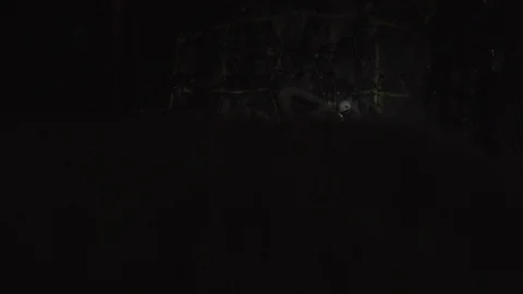 Revealing shot of workers loading explosives into a rock face with a 動画素材 121587311