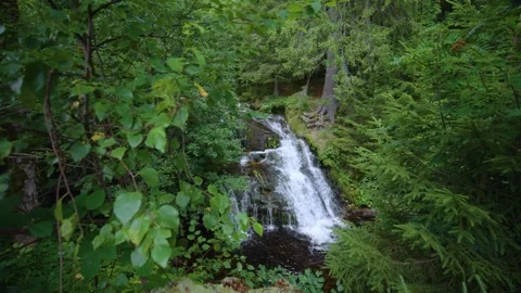 Revealing small Waterfall between trees in Menzenschwander cascade in Black  Video stock 331459980