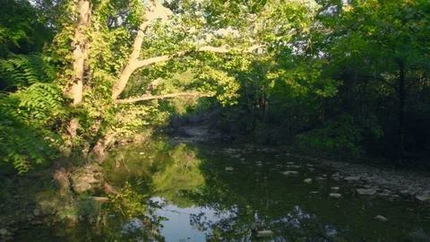 Revealing a Stream Stock Footage 239289360