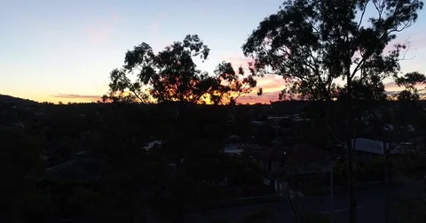 Revealing sunset from behind trees Video stock 75639327