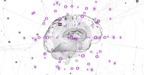 Revealing translucent brain model showing cortex on white canvas, with purple Stock Photos