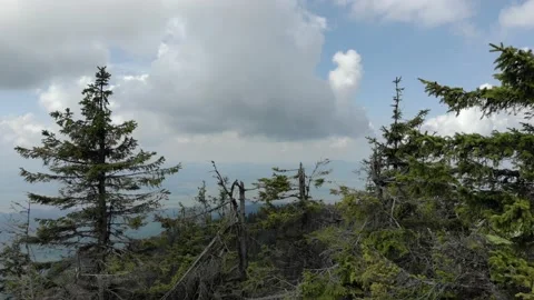 Revealing The View Over The Trees In The Mountain Stock-Footage 159915932