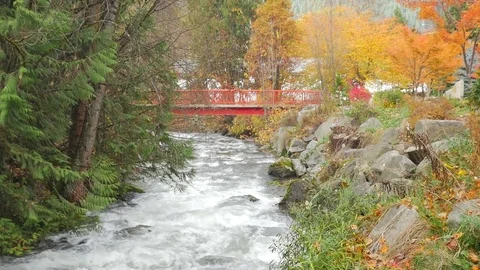 Revealing Water Rapids Flowing Down Stream With Red Bridge In The Fall 01 Vídeos de archivo 77611951