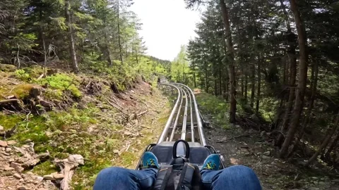 Revelstoke Roller Coaster in mountains with forest. male rides on the Revelstoke Stock Footage 269028756