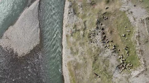 Rever On The Way To Swat Stock Footage 166209360