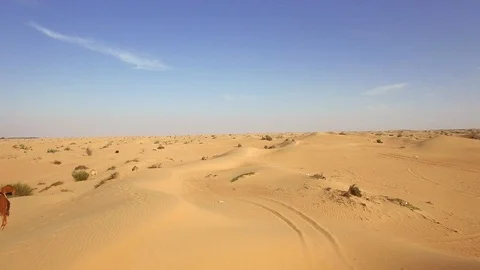 Reverse Aerial shot over desert revealing camels Stock Footage 105753956