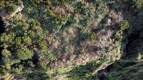 Reverse Aerial Shot Of Steep Cliffs and Waterfalls On Flores Island Azores Stock Footage 91152162