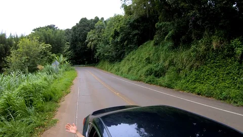 Reverse angle of car driving through Hawaii's Big Island jungle 4K 스톡 동영상 98426513