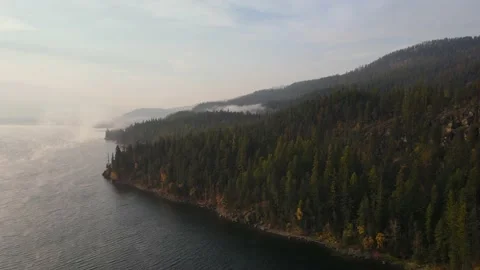 Reverse ascend high shot misty lake forest morning drone 4k aerial Stock Footage 219952047