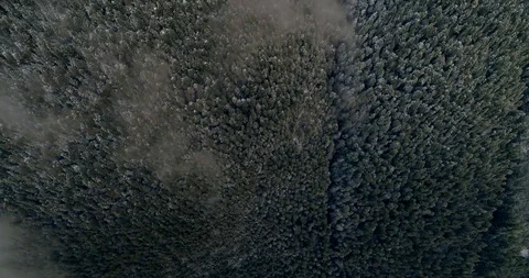Reverse Birdeye down Mountain Forest Stock Footage 91470417
