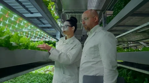 Reverse camera movement along the corridor, a modern vertical farm with Stock Footage 113817432