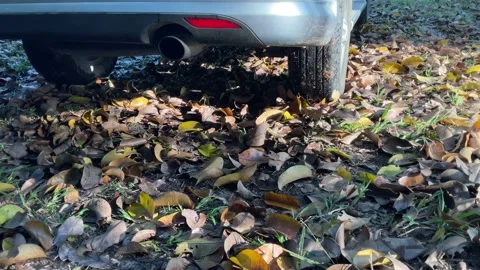 Reverse car the car runs down The car runs on the ground and has leaves Stockbeeldmateriaal 169210667