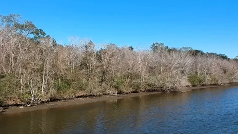 Reverse crane shot over tree covered island in bayou Stock Footage 101552213