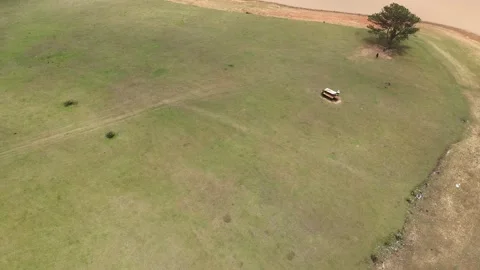 Reverse Diagonal Drone From Lonely Tree Over Endless Green Meadow 動画素材 337013091
