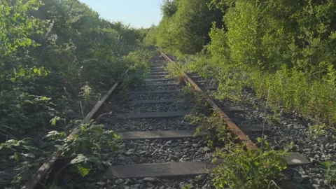 Reverse direction along rusted, abandoned railway tracks withh overgrowth Stock Footage 243088284