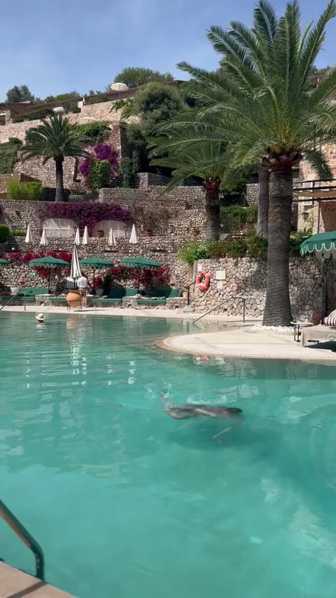 Reverse Dive, Mallorca, Spain - 02 Jun 2025 Stock Footage 312638281