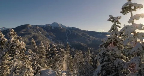 Reverse Dolly Shot Through Snow Covered Trees With Winter Mountain Views At Suns Video stock 100473716
