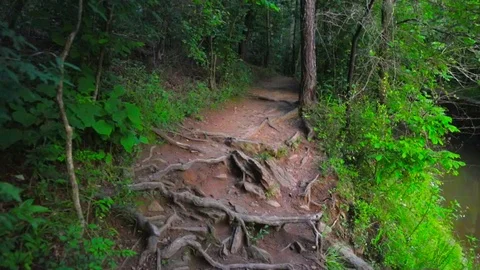 Reverse down worn path by river Stock Footage 90354855