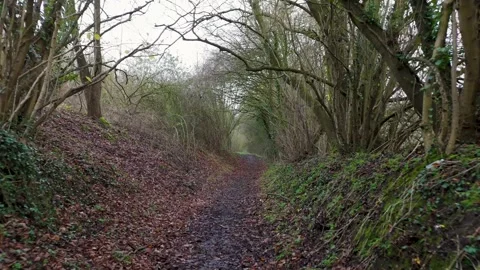 Reverse drone dolly zoom shot down leafy English country footpath in winter Stock Footage 306202286