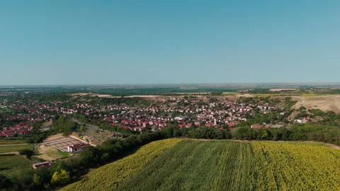 Reverse drone flight from sunflower field to Bukovac village, Serbia Stock Footage 313782981