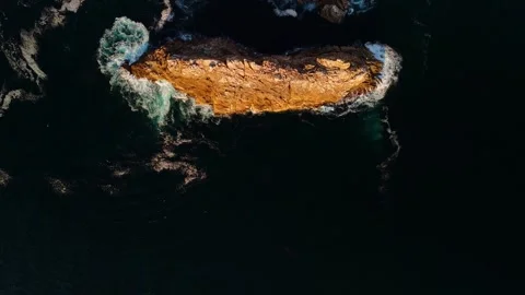 Reverse Drone Shot Over Atlantic Coast With Bird Crossing Frame Stock Footage 321480703